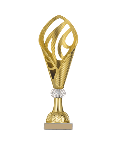 trophy_03 https://csm.xplication.ro/wp-content/uploads/2022/11/trophy_03.png