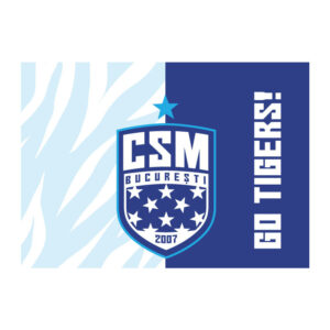 Steag mare CSM Bucuresti